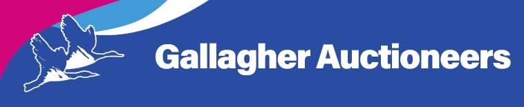 Gallagher Logo